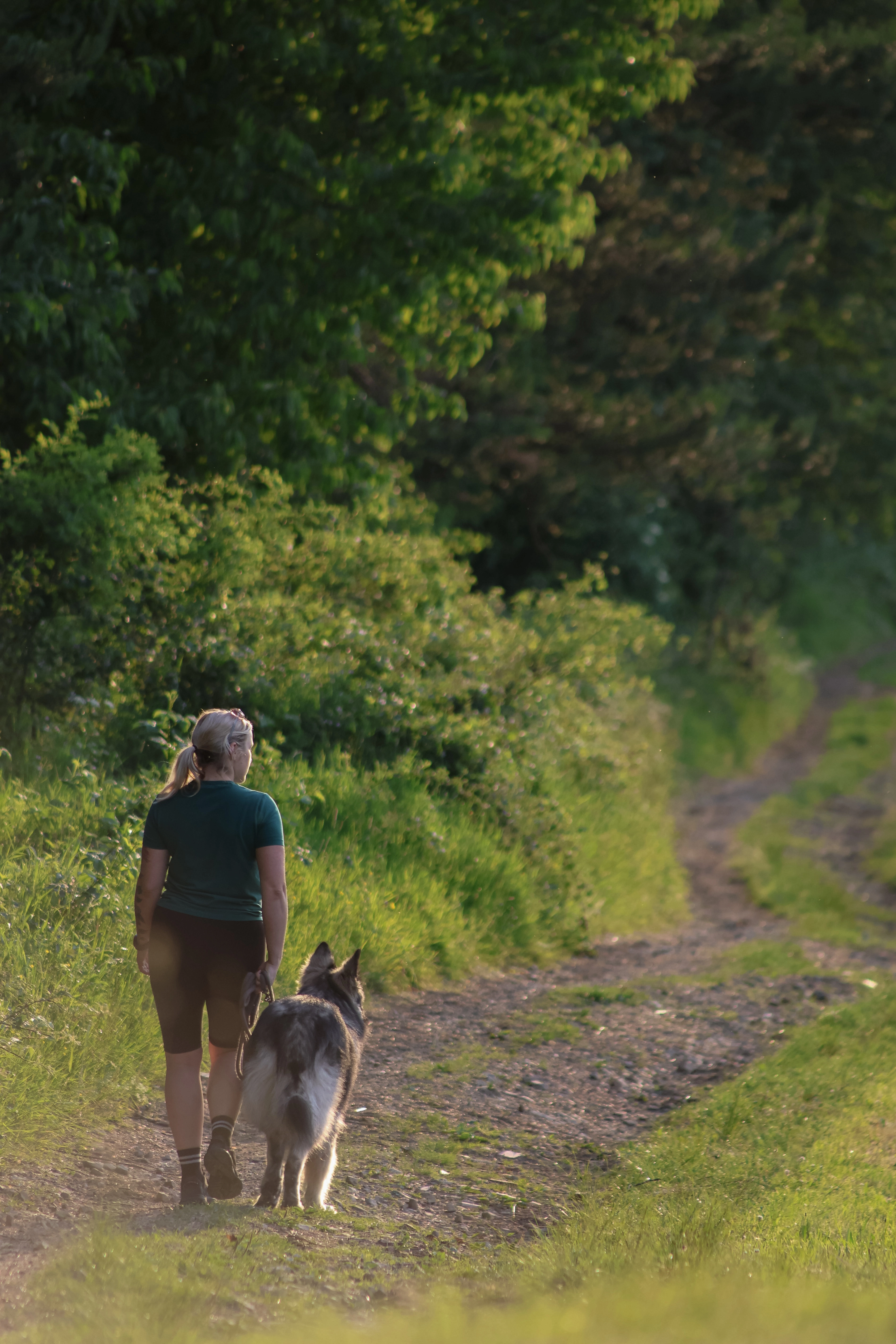 Okolica Koniakowa - zdjęcie 6