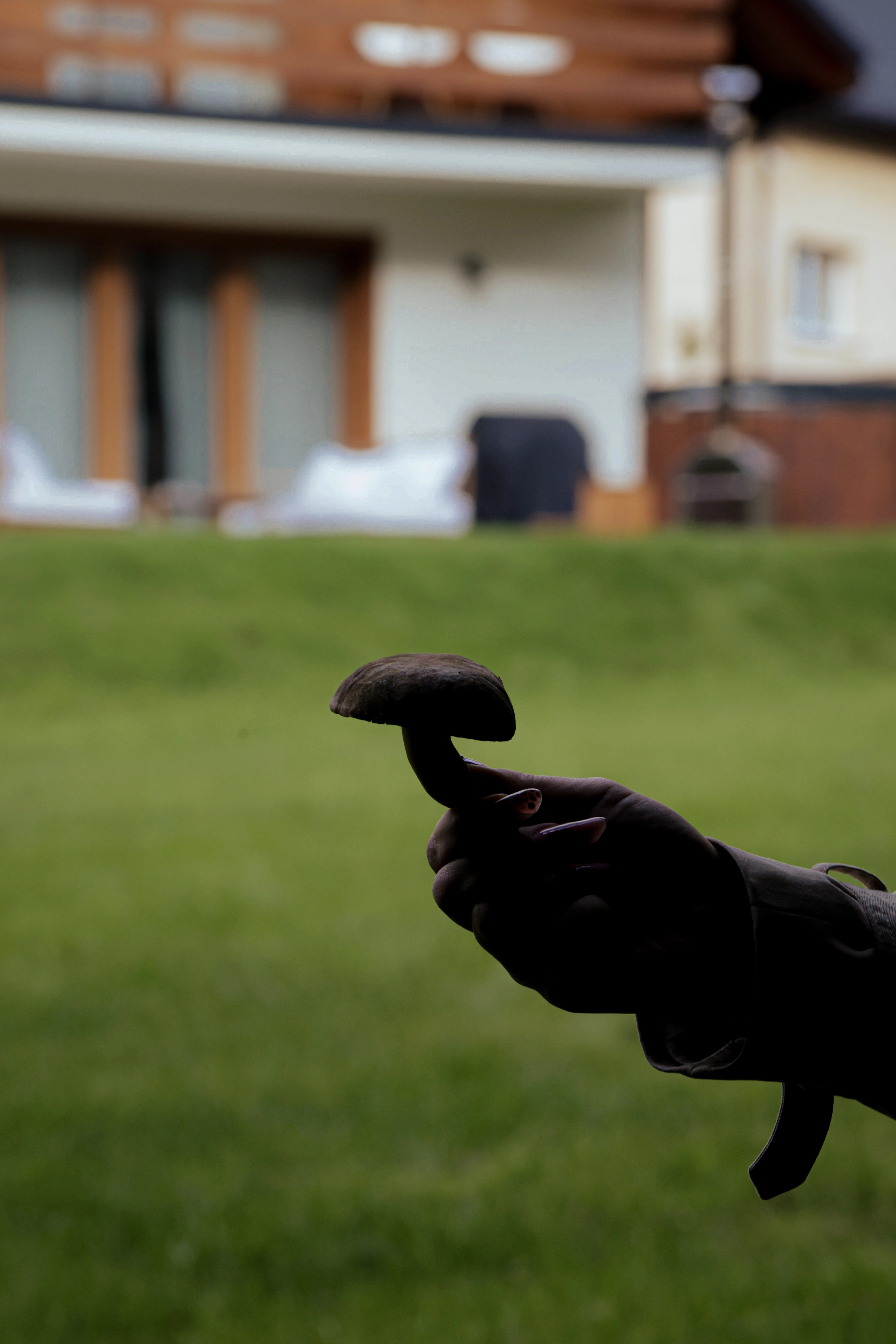 Okolica Koniakowa - zdjęcie 13